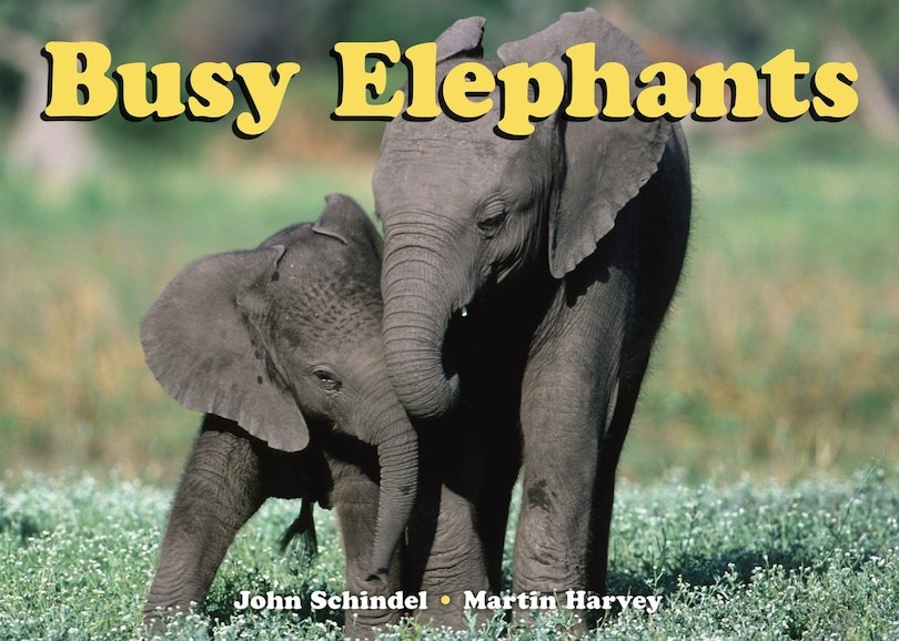 Front cover_Busy Elephants