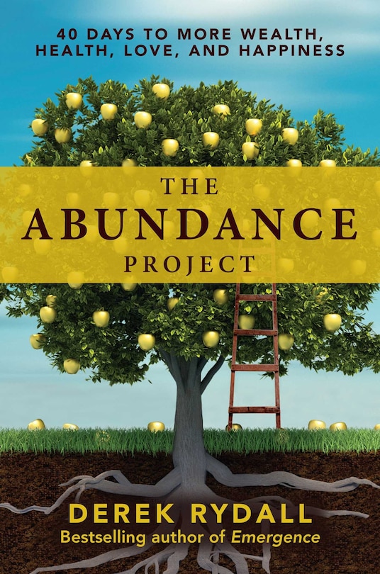 Front cover_The Abundance Project