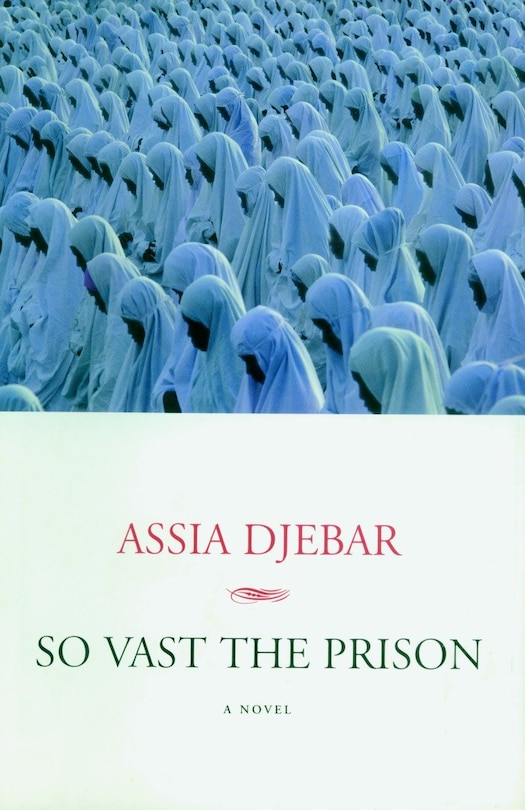 Front cover_So Vast the Prison