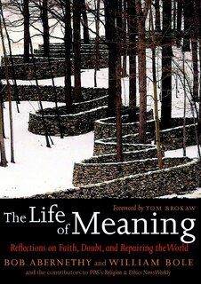 Front cover_The Life Of Meaning
