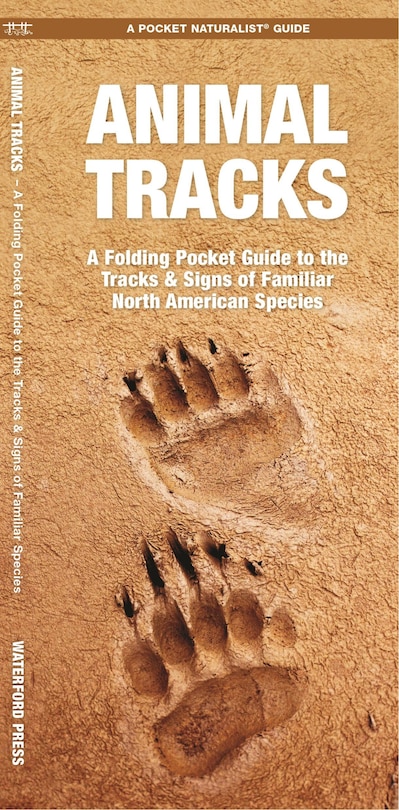 Front cover_Animal Tracks