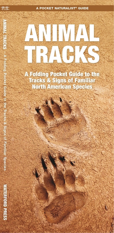 Animal Tracks: A Folding Pocket Guide To The Tracks & Signs Of Familiar North American Species