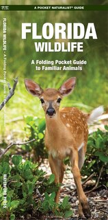 Front cover_Florida Wildlife