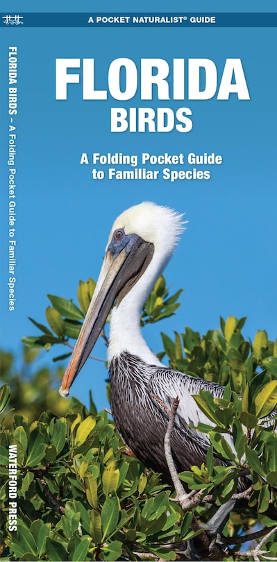 Front cover_Florida Birds