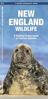 Front cover_New England Wildlife