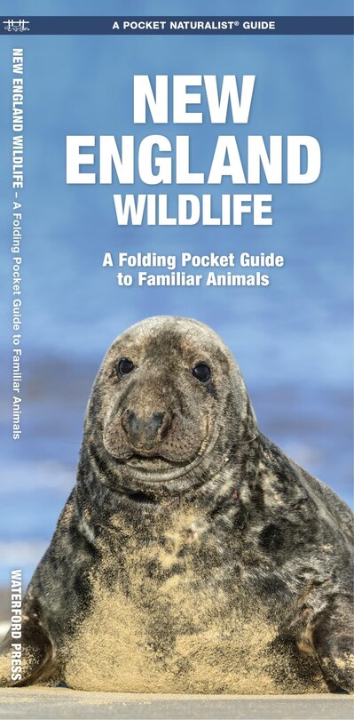 Front cover_New England Wildlife