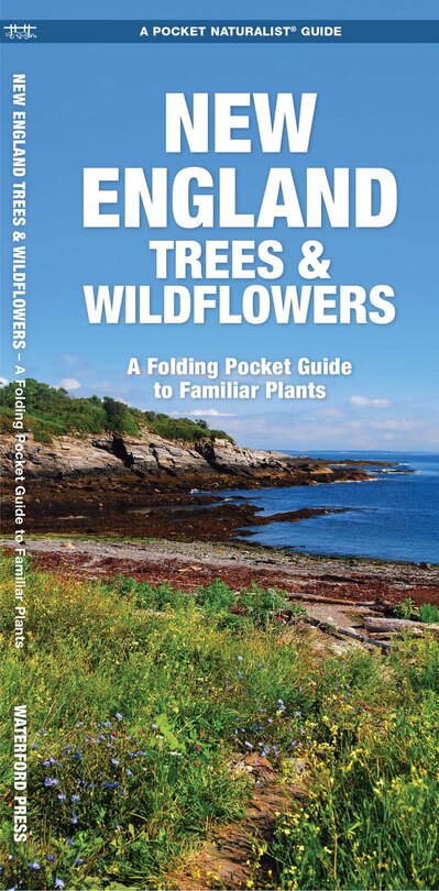 Front cover_New England Trees & Wildflowers