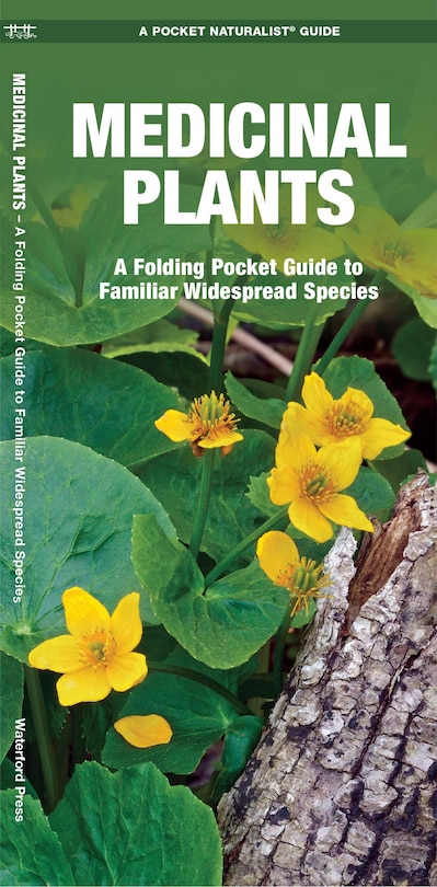 Front cover_Medicinal Plants