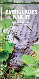 Couverture_Everglades Wildlife
