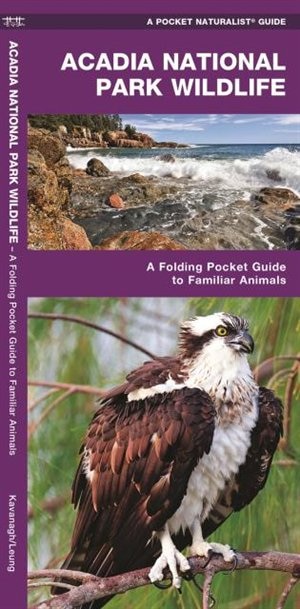 Couverture_Acadia National Park Wildlife