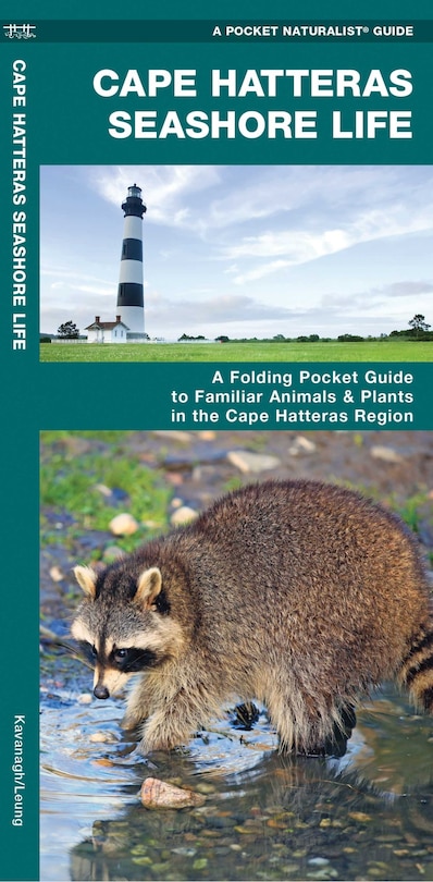 Front cover_Cape Hatteras Seashore Life