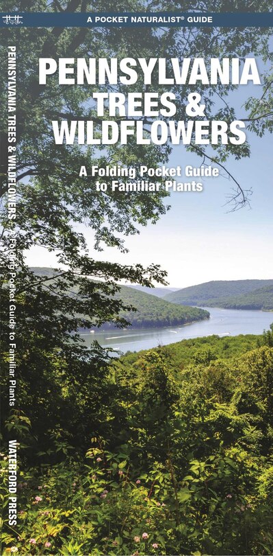 Front cover_Pennsylvania Trees & Wildflowers