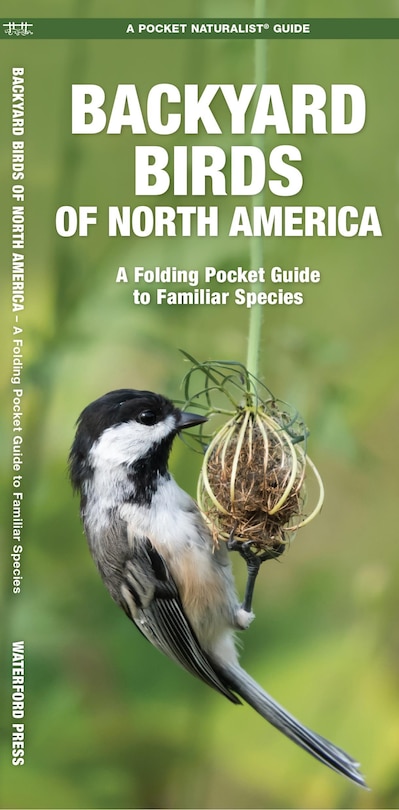 Front cover_Backyard Birds of North America