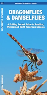 Front cover_Dragonflies & Damselflies