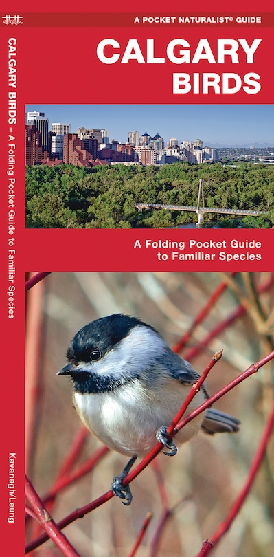 Calgary Birds: A Folding Pocket Guide To Familiar Species