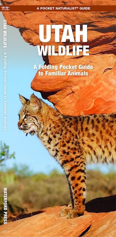 Couverture_Utah Wildlife