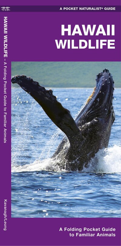 Couverture_Hawaii Wildlife