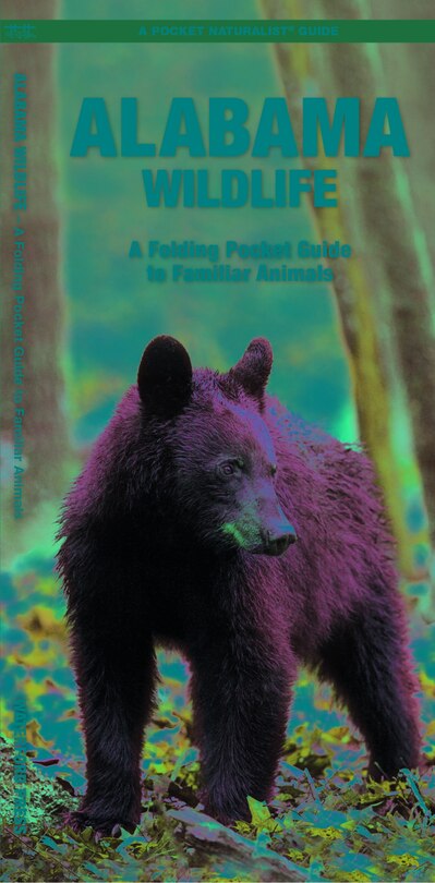 Front cover_Alabama Wildlife