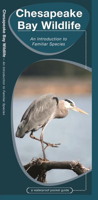 Couverture_Chesapeake Bay Wildlife