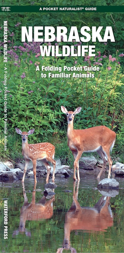 Couverture_Nebraska Wildlife