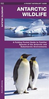 Front cover_Antarctic Wildlife