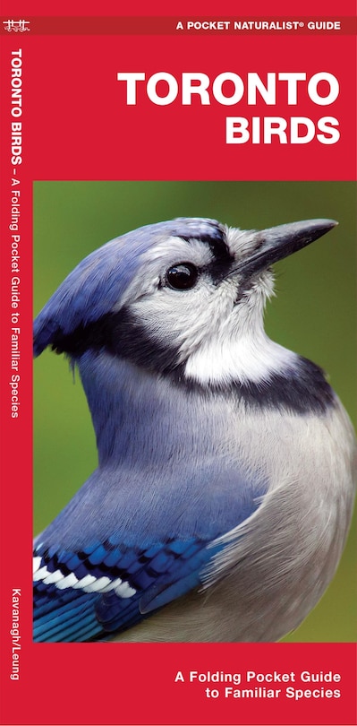 Toronto Birds: A Folding Pocket Guide To Familiar Species