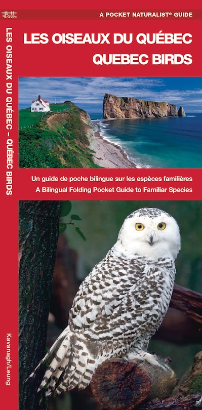 Les Oiseaux du Québec/Quebec Birds: Un guide de poche bilingue sur les espèces familière/A Bilingual Folding Pocket Guide to Familiar Species