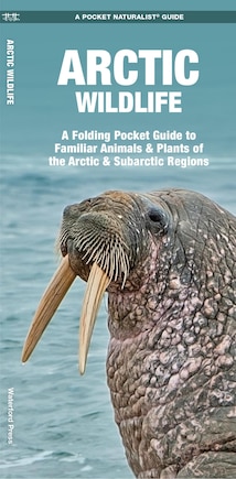 Arctic Wildlife: A Folding Pocket Guide to Familiar Animals & Plants of the Arctic and Subarctic Regions