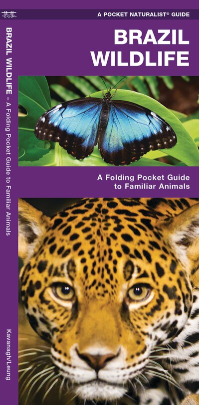 Front cover_Brazil Wildlife