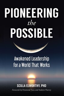 Couverture_Pioneering The Possible