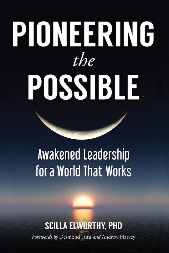 Couverture_Pioneering The Possible