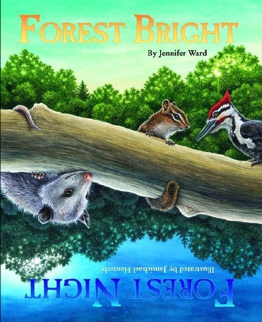 Front cover_Forest Bright, Forest Night