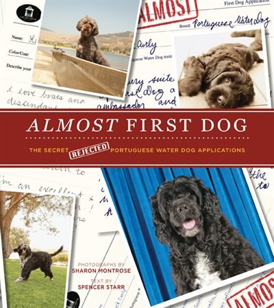 Front cover_Almost First Dog