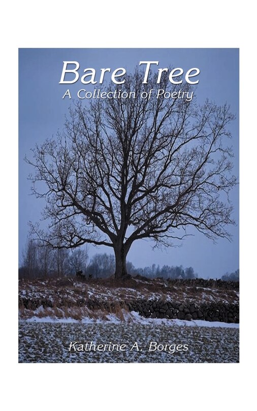 Front cover_Bare Tree