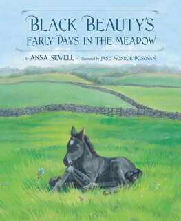 Front cover_Black Beauty's Early Days In The Meadow