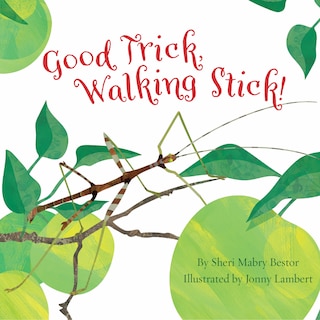 Couverture_Good Trick Walking Stick
