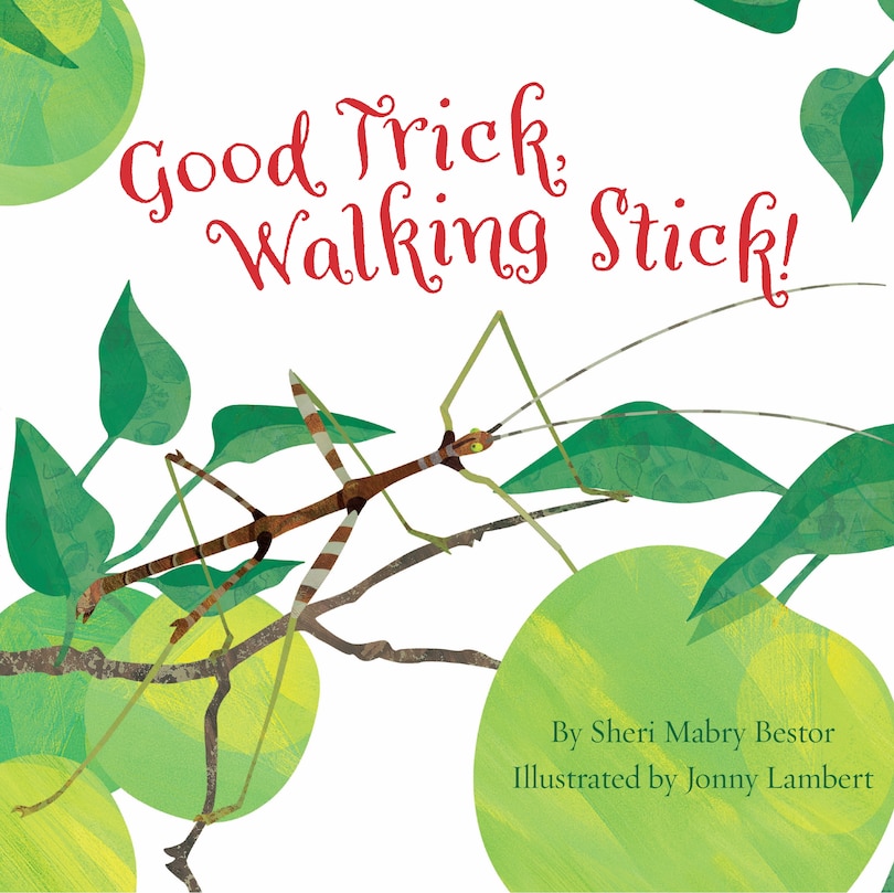 Couverture_Good Trick Walking Stick