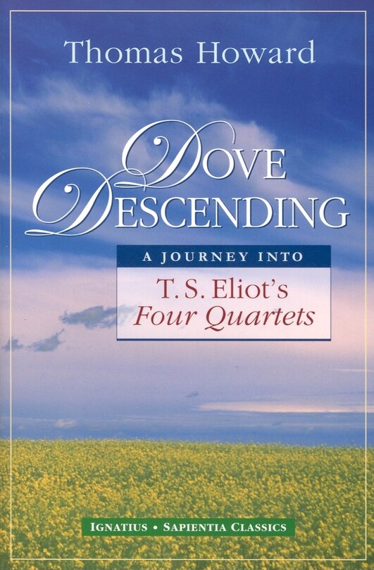 Couverture_Dove Descending