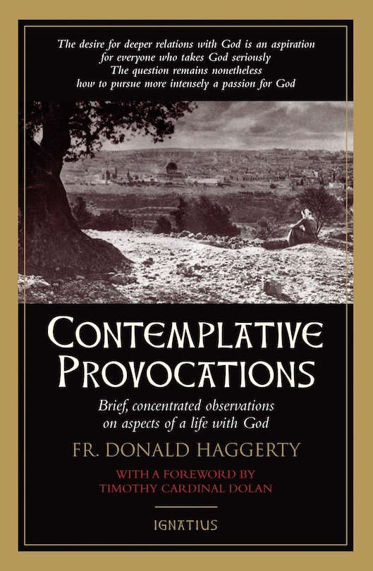 Front cover_Contemplative Provocations
