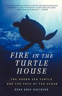 Front cover_Fire in the Turtle House