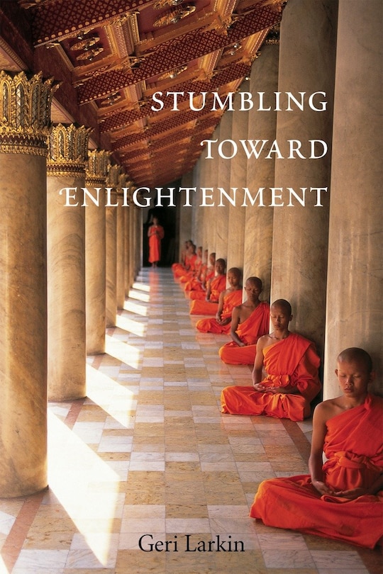 Front cover_Stumbling Toward Enlightenment