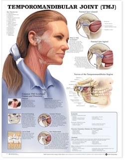 Front cover_Temporomandibular Joint (TMJ) Anatomical Chart