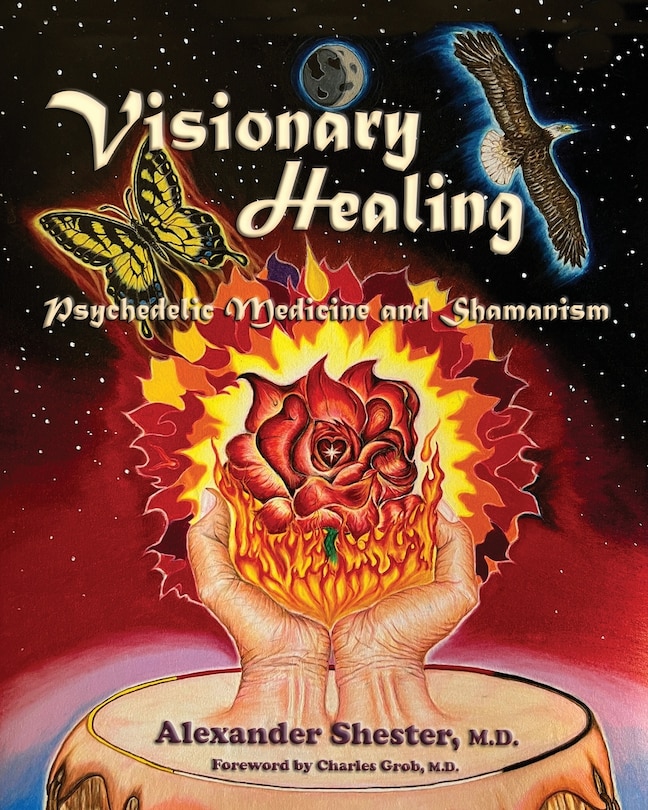 Couverture_VISIONARY HEALING Psychedelic Medicine and Shamanism