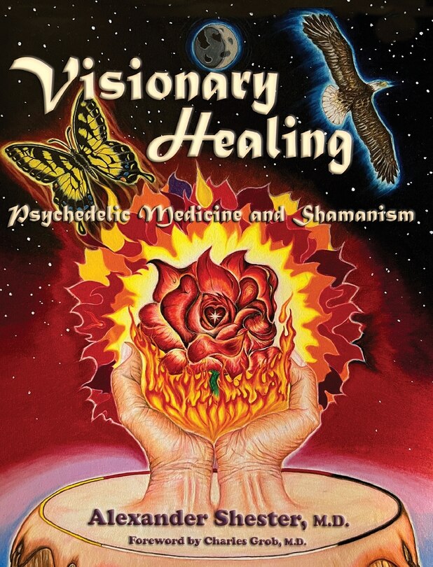 Front cover_VISIONARY HEALING Psychedelic Medicine and Shamanism