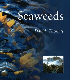 Couverture_Seaweeds