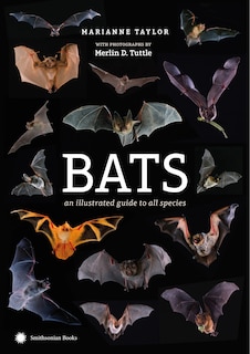 Couverture_Bats