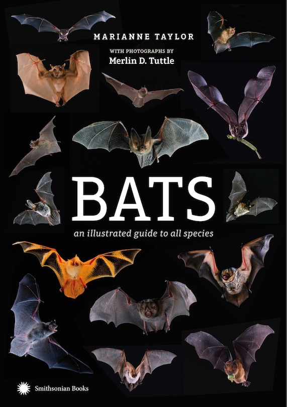 Couverture_Bats