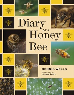 Couverture_Diary of a Honey Bee