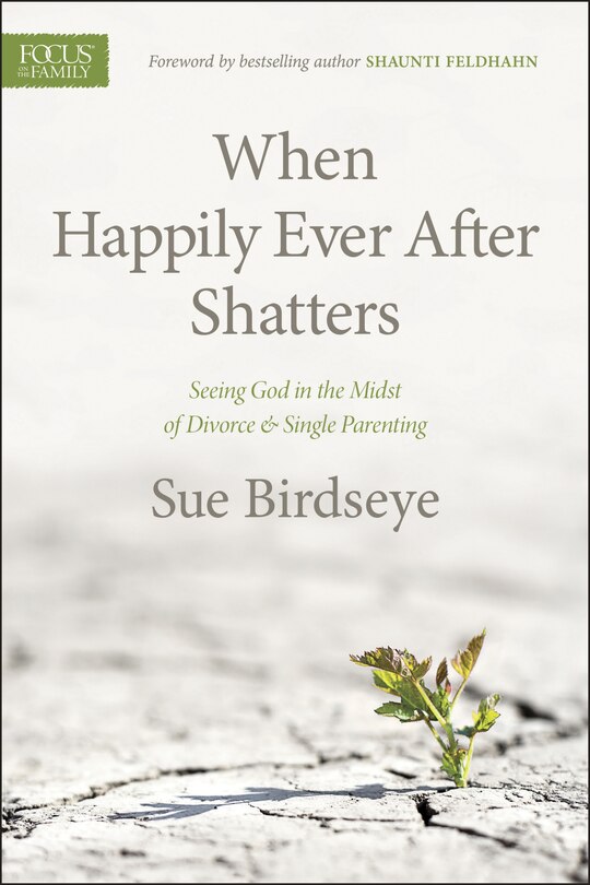 Front cover_When Happily Ever After Shatters