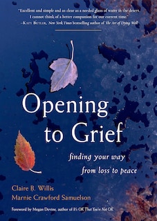 Couverture_Opening To Grief